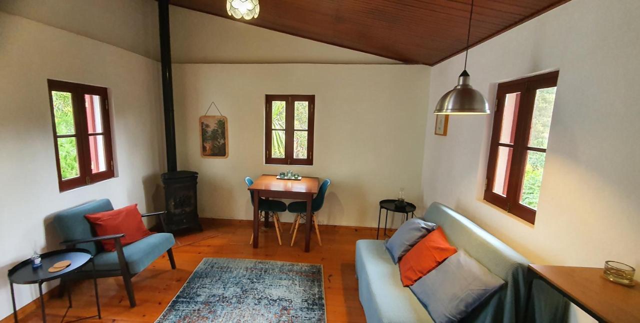 Quinta Flores Ferreira do Zêzere Εξωτερικό φωτογραφία