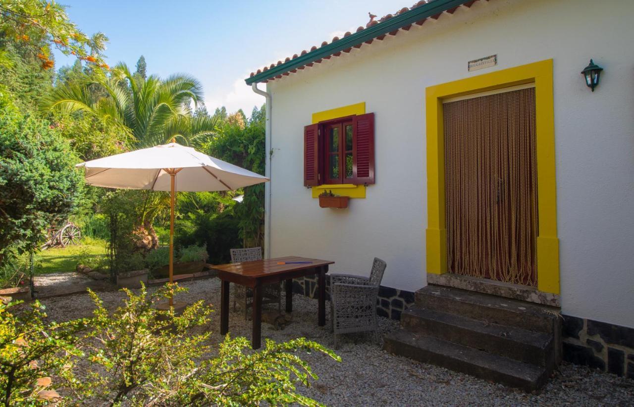 Quinta Flores Ferreira do Zêzere Εξωτερικό φωτογραφία